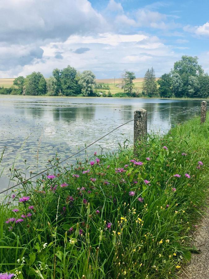 L'Echappee Ardennaise - Gite 6 Places Tout Confort Semuy 外观 照片